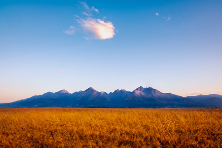 Landscape view of High Tatras mountains at sunrise with wheat field in foreground, Slovakiaの写真素材