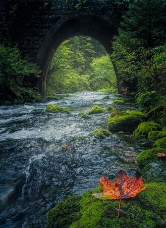 Old stone bridge and flowing river with colorful leaf in the foregroundの写真素材