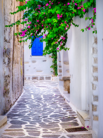 Idyllic white Greek street with bouganvillea flowers and blue window, Paros islandの写真素材