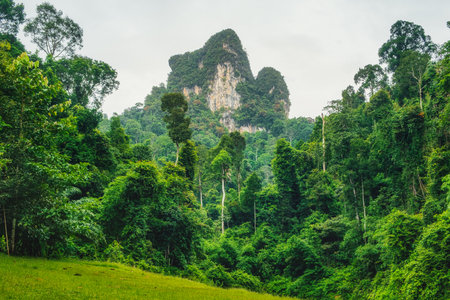 Tropical wild jungle landscape, Ratchaprapha dam, Khao Sok, Thailand