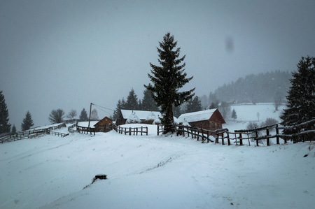 Winter landscape in Apuseni mountainsの写真素材