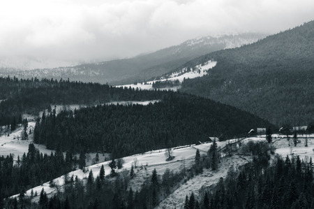 Winter in a mountain Village. Arieseni, Romaniaの写真素材