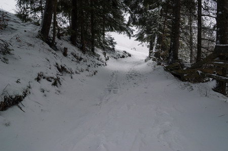 Winter landscape in Apuseni mountainsの写真素材