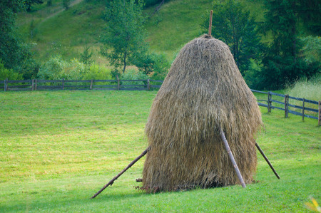Haystack on a fieldの写真素材