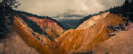 Rustyの写真素材