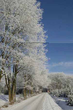 A winter landscape with hoarfrostの写真素材