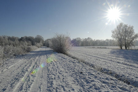 A winter landscape with hoarfrostの写真素材