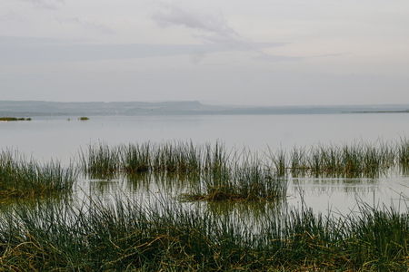 Lake Elementaita, Naivasha, Rift Valleyの写真素材