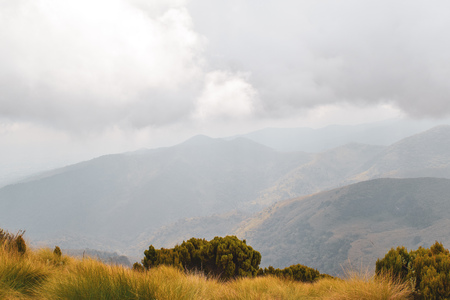 Elephant Hill against an overcast sky, Aberdare Ranges, Kenya