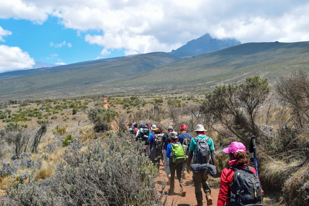 A group of hikers in the high altitude moorland against Mawenzi Peak in Mount Kilimanjaro, Tanzaniaのeditorial素材