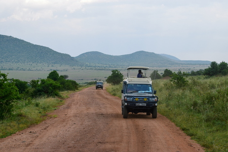 Game drive at Masai Mara National Reserve, Kenyaのeditorial素材