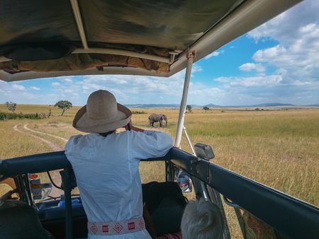 A tourist in a van against an elephant background at Masai Mara, Kenyaのeditorial素材