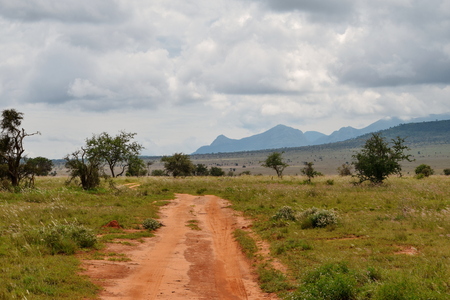 A dirt road against a savannah grassland landscape in Taita Hills Wildlife Sanctuary, Kenyaの写真素材