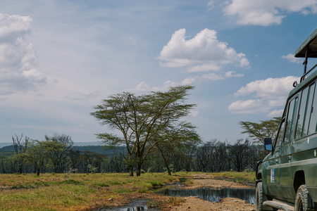 A safari jeep along the shores of Lake Nakuru, Rift Valley, Kenya