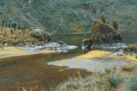 Lake against a mountain background, Lake Bujuku in the Rwenzori Mountains