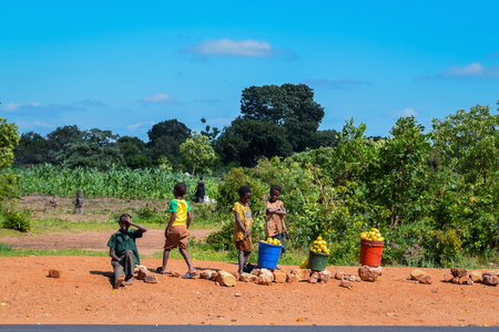 Small kids selling fruits on the highway, Malawiのeditorial素材