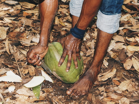 A man opening up a coconut in Zanzibarの写真素材