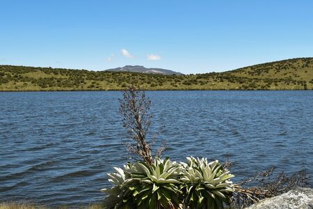 Lakeshore camping at Lake Ellis, Mount Kenyaの写真素材