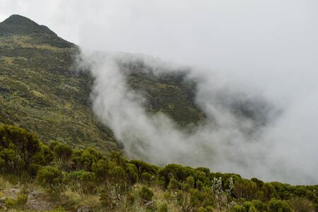 The scenic foggy volcanic landscapes in rural Kenya, Aberdare Ranges