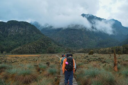 A group of hikers in the panoramic mountain landscapes of Rwenori Mountains, Ugandaの写真素材