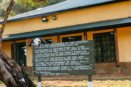 Buffalo skeleton on top of a sign board at Marsabit National Park, Kenyaのeditorial素材