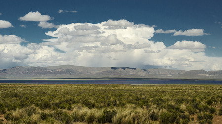 Andean Pozuelos lagoon, birds paradise, a UNESCO heritage site and protected RAMSAR site in Jujuy,...