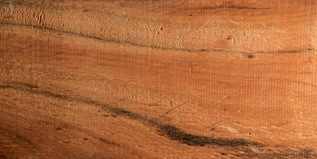 Quebracho, original hard wood in Latin Americaの写真素材