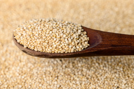 raw quinoa seeds that occupy the entire complete picture and wood spoonの写真素材