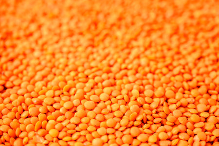 a lot of red lentils filling the entire frameの写真素材