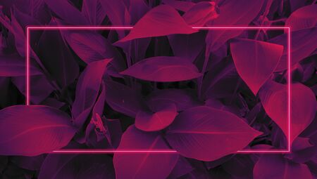 Futuristic background in retro style 80s, neon glow, tropical leaves in ultraviolet color