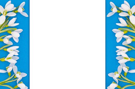 Spring card, background of white flowers of snowdrops on a bright blue background and place for your textの写真素材