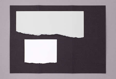 Torn notepad sheets, stationery background top view with place for notes, signature and advertising...