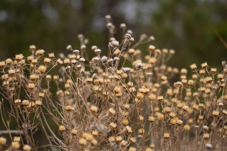 Moon landscape on Tenerife, Canary Island, Spainの写真素材
