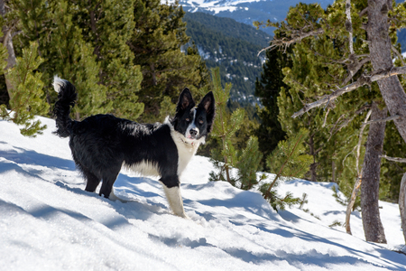 Ransol, Canillo, Andorra.の写真素材