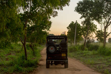 Udawalawe, Sri Lanka : 2019 November 21 :  Tourists doing the safari in the Udawalawe National Park on Sri Lanka.のeditorial素材