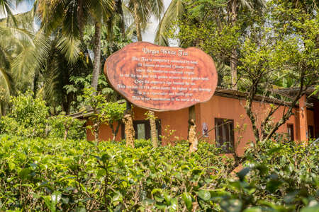 Ahangama, Sri Lanka. Nov 17 2019 :  in the he Handunugoda Tea Estate and Tea Museum. Ahangama, Sri Lankaのeditorial素材