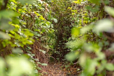 Beautiful landscapes of Barranco del Infierno in Tenerife.の写真素材
