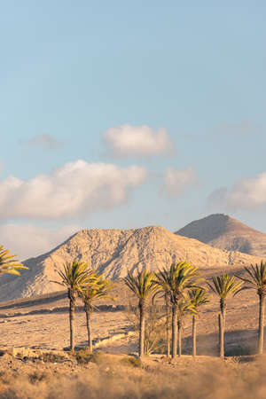 Los Molinos beach in Fuerteventura, Canary Islands in summer 2020.の写真素材