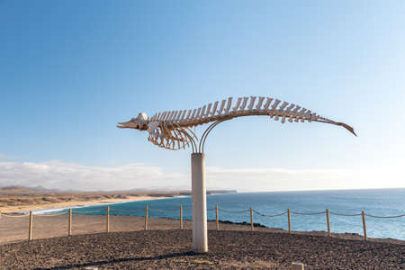 Whale Skeleton in Coast in Fuerteventura at El Cotillo in the Canary Islands, Spain.のeditorial素材