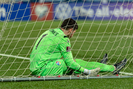 Andorra La Vella, Andorra: 2021 March 31: Josep Gomes AND in action in the Qatar 2022 World Cup Qualifying match Andorra vs Hungaryのeditorial素材
