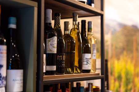 LogroÃ±o, Spain: 2021 April 26: Tasting in a boutique Wine store in LogroÃ±o in the Rioja PDO...