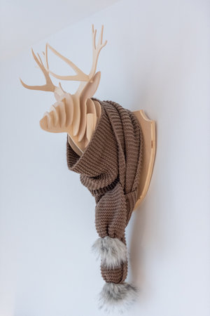 Modern Wooden Deer Mountain Apartment.の写真素材