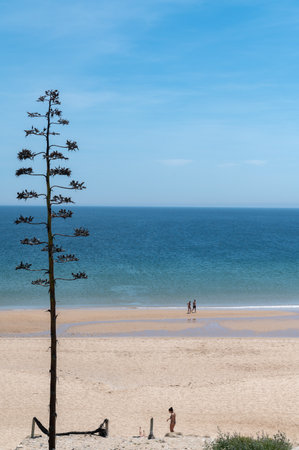 Sagres, Portugal. 2022 May 7. People in Praia da Mareta in the tourist city of Sagres in the Algarve, Portugal in the summer of 2022.のeditorial素材
