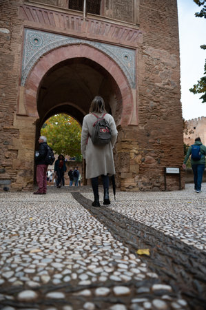 Granada, Spain : 2022 november 20 Panorama at the Palace Nazaries in the Alhambra in Granada, Spain in 2022.のeditorial素材