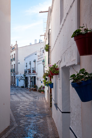 Flowers in the touristic city of Nerja in Malaga, Spain in 2022.のeditorial素材