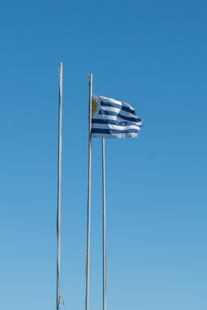 Cityscape of the city of Montevideo in the capital of Uruguay in 2023 from the fortress of Cerro.の写真素材