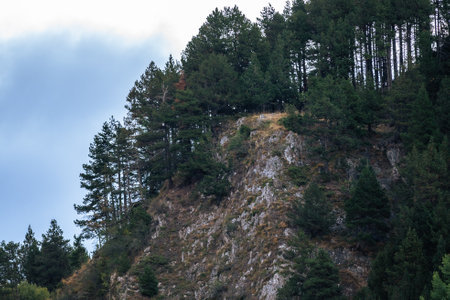 Forests in the Andorra Mountains in the Pyrenees.の写真素材
