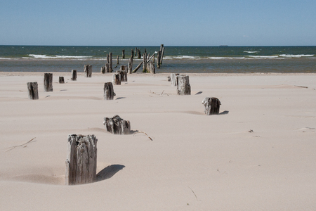 baltic sea beach with rocks and old woodの写真素材