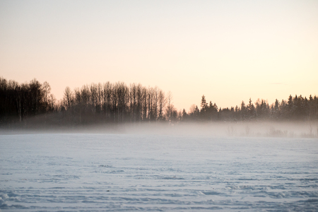 cold morning in the field in winter at countryside with snow and blue skiesの写真素材