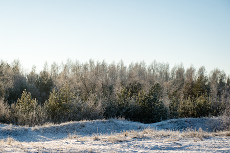 cold morning in the field in winter at countryside with snow and blue skiesの写真素材